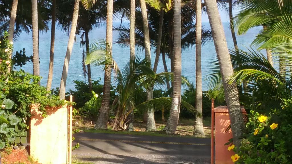 Whale House At Kehena Beach Pahoa Ruang foto