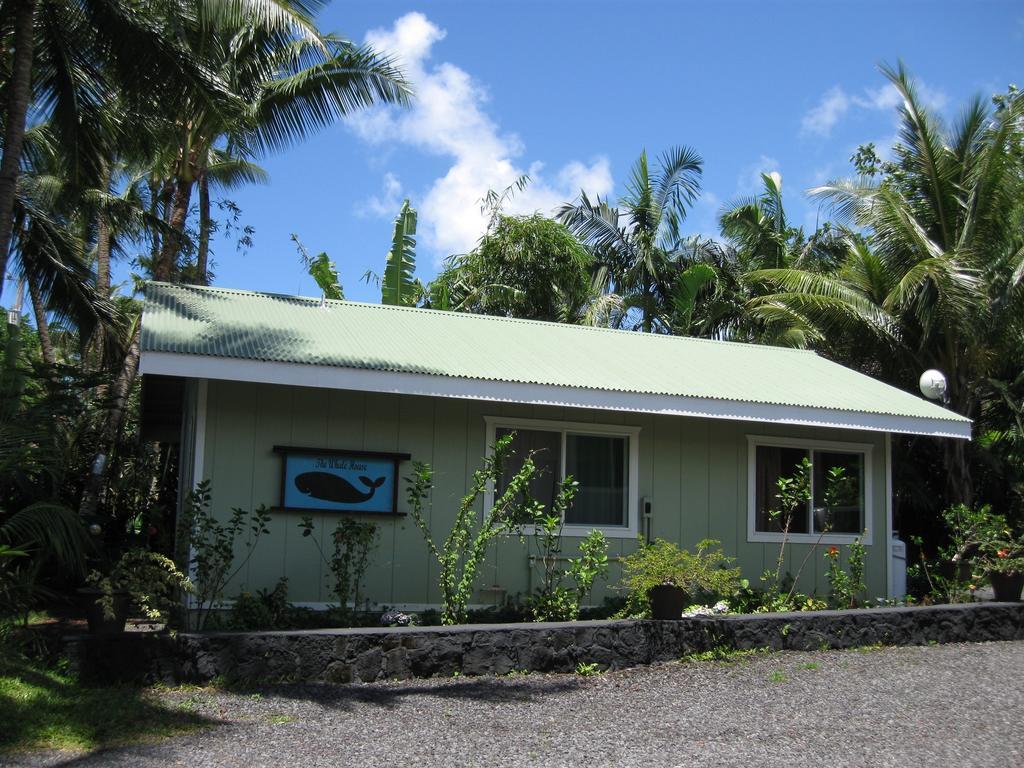 Whale House At Kehena Beach Pahoa Ruang foto