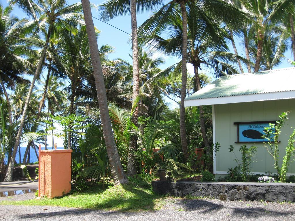 Whale House At Kehena Beach Pahoa Ruang foto
