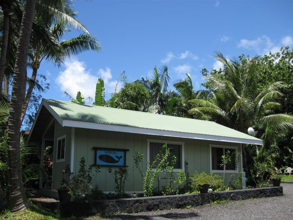 Whale House At Kehena Beach Pahoa Ruang foto