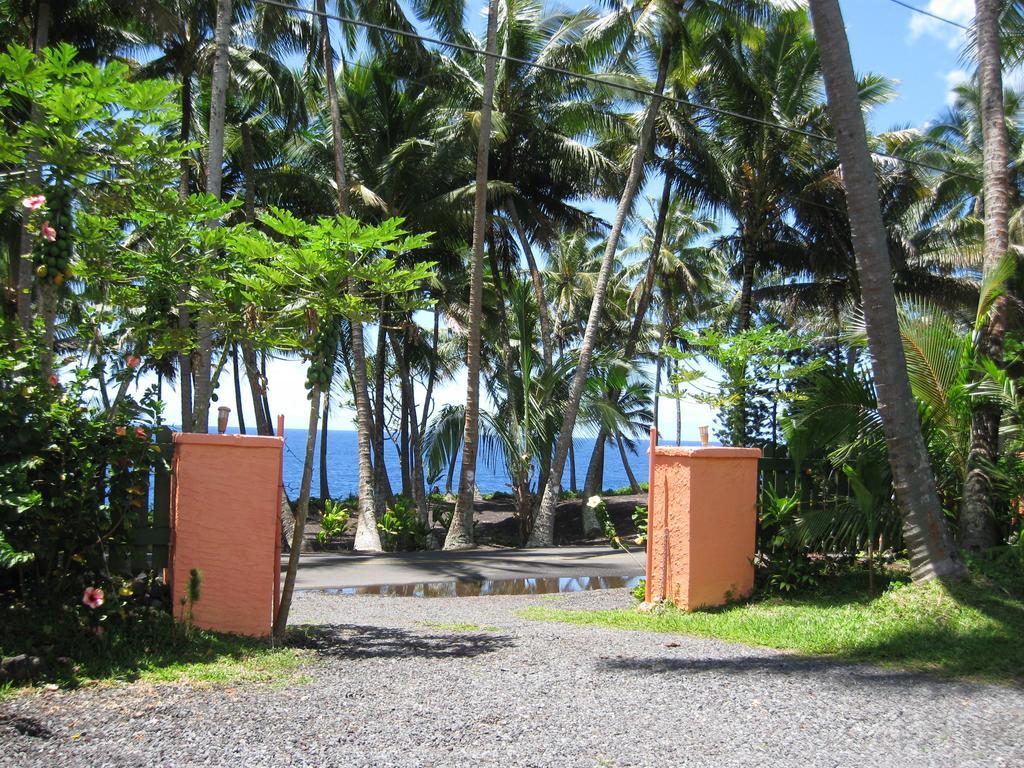 Whale House At Kehena Beach Pahoa Ruang foto