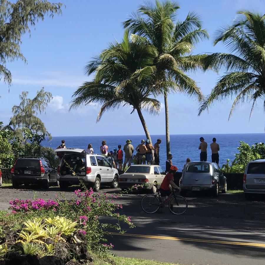 Whale House At Kehena Beach Pahoa Bagian luar foto