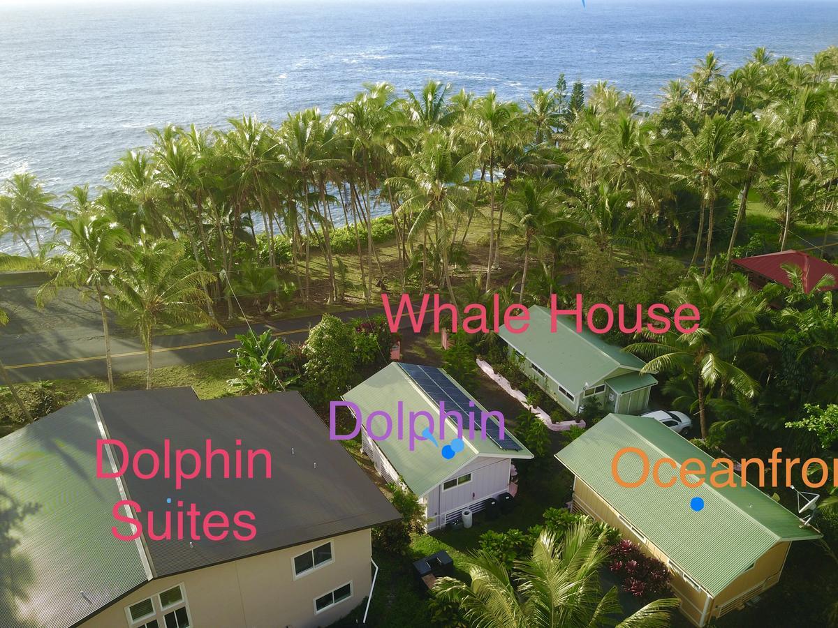 Whale House At Kehena Beach Pahoa Bagian luar foto